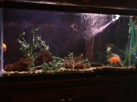 The Mariner Tavern by null