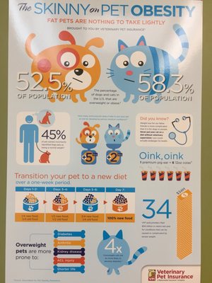 Central Animal Hospital 138 Photos 73 Reviews Veterinarians 73 Sw 1st Ave Boca Raton Fl United States Phone Number