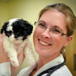 Indian Trail Animal Hospital