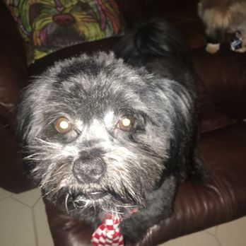 Fuzzy Friends Mobile Pet Spa - Pet Groomers Near Me Fuzzy Friends Mobile Pet Spa - Pet Groomers Near Me