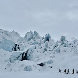 user provided Alaska's Finest Tours & Cruises photo