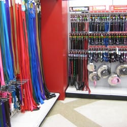 Super Pets - Leashes!
