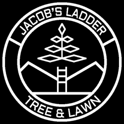 Jacob's Ladder Tree Tech