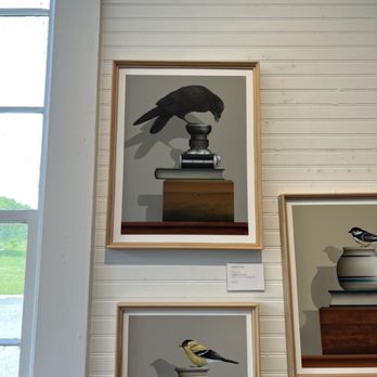 Cottage Curator - Cool series of photos of birds in still life environments. We bought the crow because it had a ton of personality. - Art Galleries Near Me - Sperryville, Virginia Cottage Curator - Cool series of photos of birds in still life environments. We bought the crow because it had a ton of personality. - Art Galleries Near Me - Sperryville, Virginia