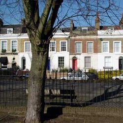Trinity Arms