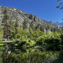 Glacier Lodge - Kids Trout pond.