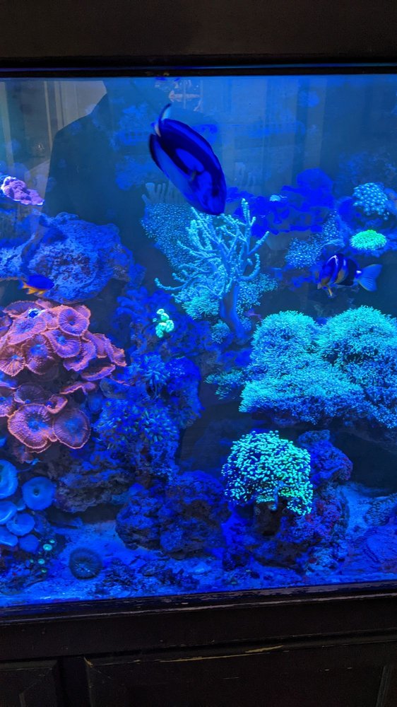 CHAMPION AQUARIUMS Updated September 2024 44 Photos & 13 Reviews