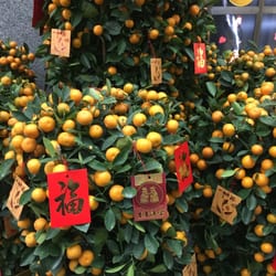 萬寧