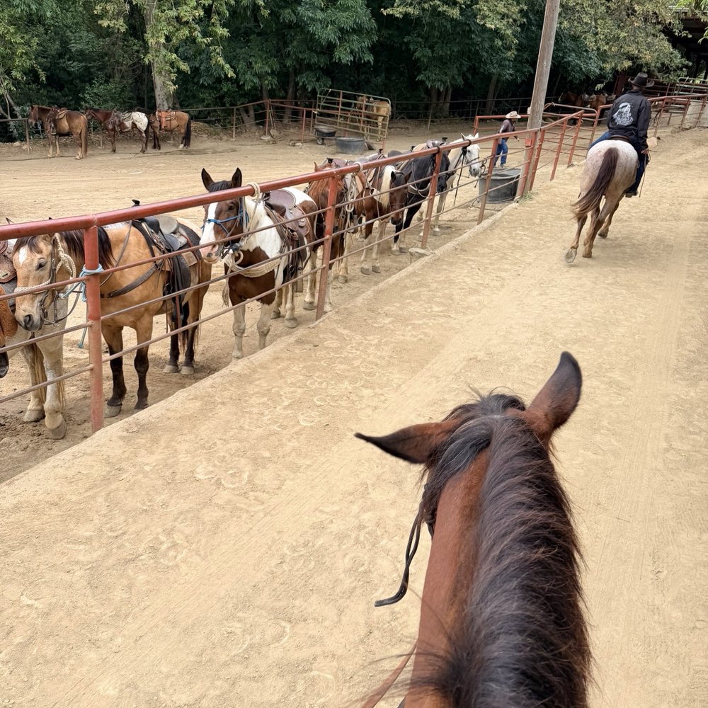 Circle Bar B Ranch - Stables - Bed & Breakfast Near Me - Goleta, California Circle Bar B Ranch - Stables - Bed & Breakfast Near Me - Goleta, California