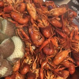10lb special
