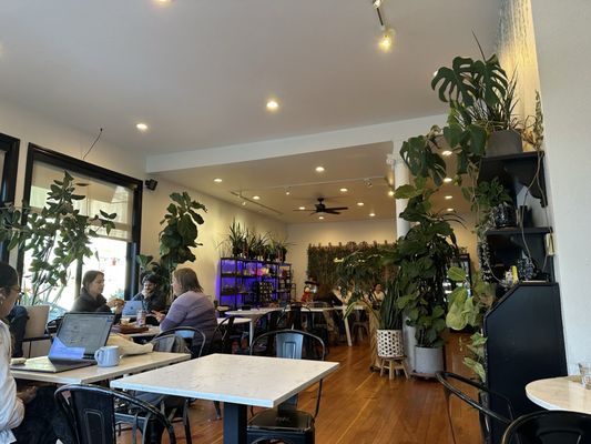 Fiddle Fig Cafe & Coffee by null