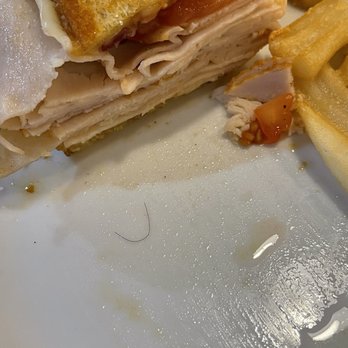 Denny's - Hair on plate sandwich was laying on top of it - Breakfast & Brunch Near Me - Palm Springs, California Denny's - Hair on plate sandwich was laying on top of it - Breakfast & Brunch Near Me - Palm Springs, California