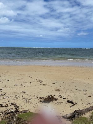 Punaluʻu Beach by null