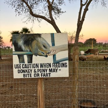 Showcase of Citrus - Attraction Farms Near Me - Clermont, Florida