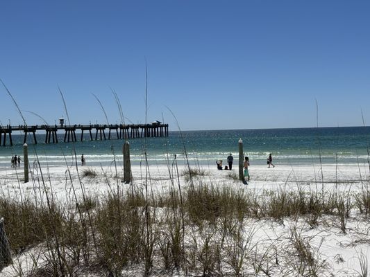 Gulfarium Marine Adventure Park by null