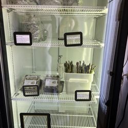 Harmony Coffee Roasters - Fresh local produce