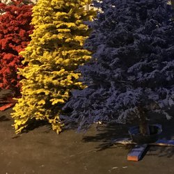 F&S And Family Christmas Trees