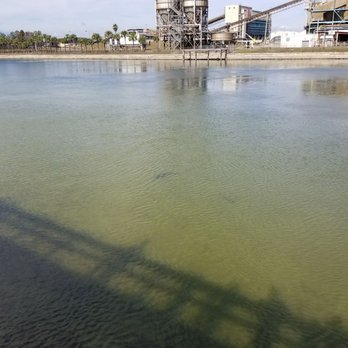 Manatee Viewing Center - Shark! - Zoos Near Me - Apollo Beach, Florida Manatee Viewing Center - Shark! - Zoos Near Me - Apollo Beach, Florida