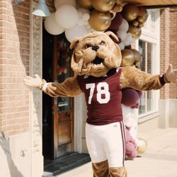 Game Day Apparel | Mississippi State - Bully loves B-Unlimited Mississippi State!