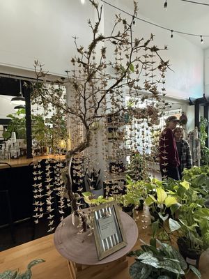 Greenhouse Coffee + Plants by null