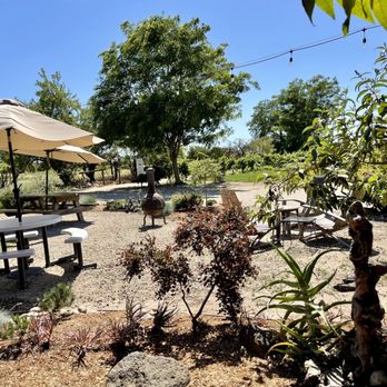 Klinker Brick Winery - Outdoor space - Wineries Near Me - Lodi, California