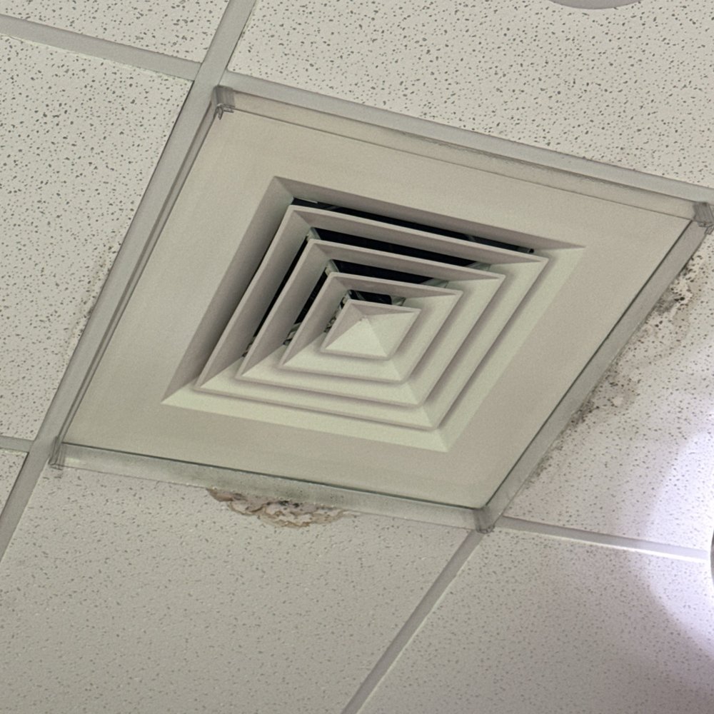 This is mold! In a new building!!!!!!!!!