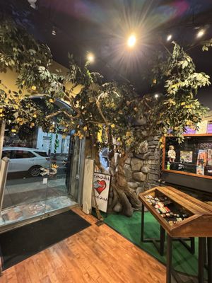 Condom Kingdom by null