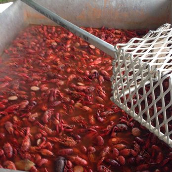 B & B Crawfish - a bucket full of crawfish - Seafood Near Me - Raymond, Mississippi B & B Crawfish - a bucket full of crawfish - Seafood Near Me - Raymond, Mississippi