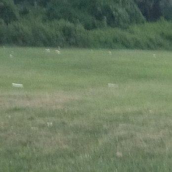 ACME Markets - a man in a field with a frisbee - Grocery Near Me - Jenkintown, Pennsylvania ACME Markets - a man in a field with a frisbee - Grocery Near Me - Jenkintown, Pennsylvania