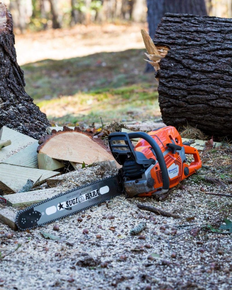 Essential Tree Service - tree service in New Gloucester, ME