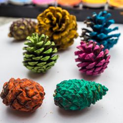 The Ross Preschool - Creativity is literally falling from the trees!