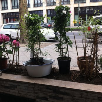 Café Minouche - Cafes Near Me - Berlin, BE Café Minouche - Cafes Near Me - Berlin, BE