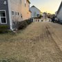 Photo of Progreen Landscape Solutions