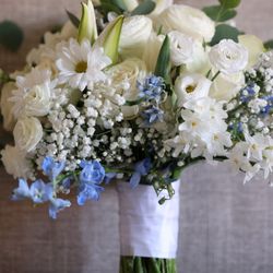 Between the Roses Florist