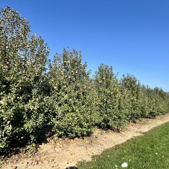 Pleasant View Orchard - Pick Your Own Farms Near Me - Fairland, Indiana