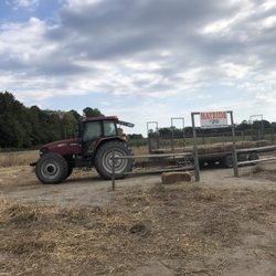 Mr. Pepper's Pumpkin Patch