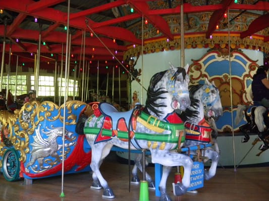 Central Park Carousel by null