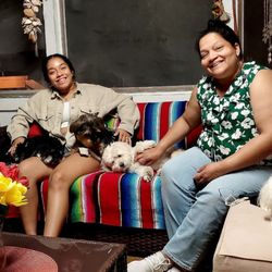 DogMom's Boarding House