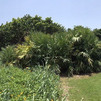 Red Reef Executive Course - 7-8th hole - Golf Near Me - Boca Raton, Florida