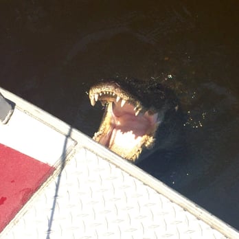 Airboat Adventures - Boat Tours Near Me - Lafitte, Louisiana Airboat Adventures - Boat Tours Near Me - Lafitte, Louisiana