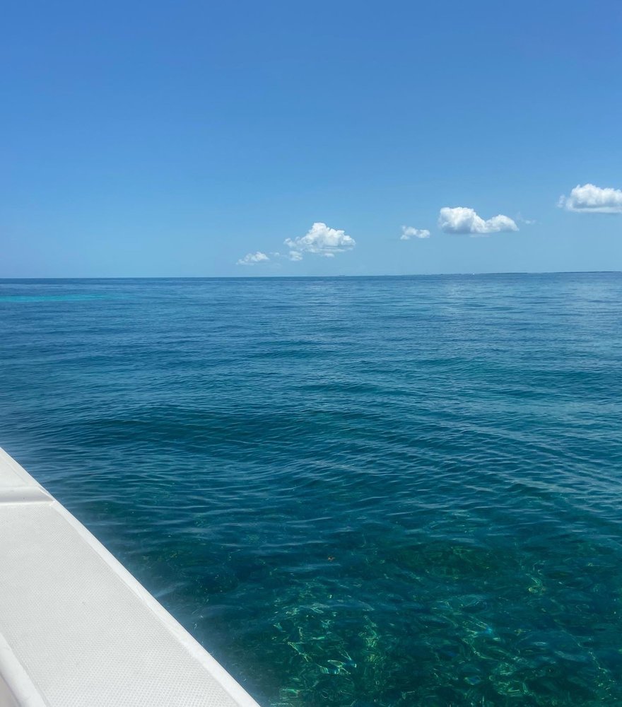 SUNDIVER SNORKEL TOURS 73 Photos & 87 Reviews 102840 Overseas Hwy