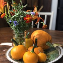 Mrs Little's Tea and Toys - Bounty from Mrs. Little's garden.