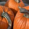 Elliot Farm gift card