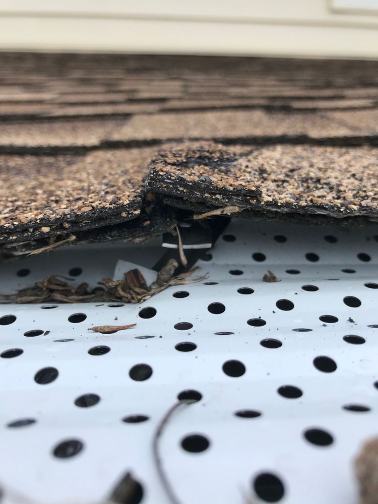 WALKER ROOFING AND SIDING with photos Updated August 2024 36 Photos & 11 Reviews 38 Poplar