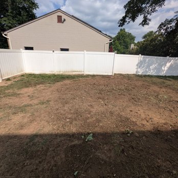 Autumn Tree Service - Tree Services Near Me Autumn Tree Service - Tree Services Near Me