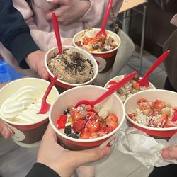 Red Mango - Froyo Cup