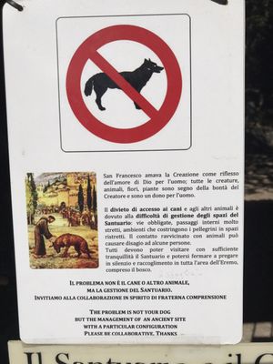 Eremo delle Carceri by null