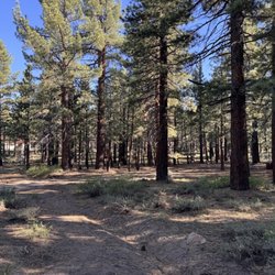 Mammoth Mountain RV Park - Back tent area (where you see the house on the left in the back , the school is on the right but not as seen in photo)