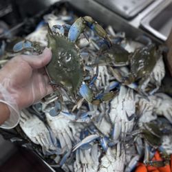 Seafood In The Buff Wheaton - Crabs - Medium - Large - Jumbo