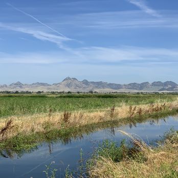 Van's Bicycle Center - Beautiful scenery - Bikes Near Me - Yuba City, California